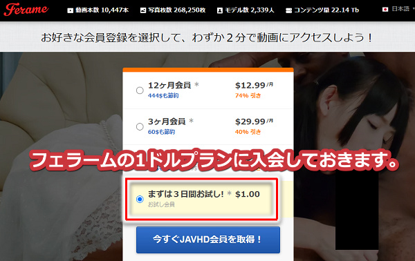 JAVHD�ɔ��z�œ����菇1