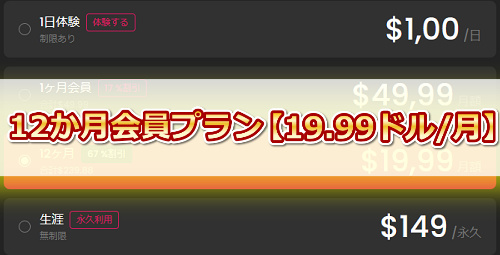 JAVHD12か月プランの特徴