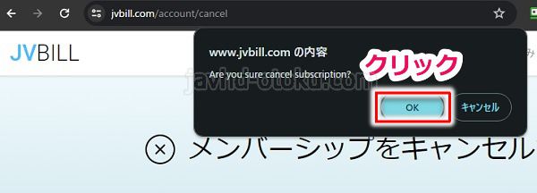 javhdjvbillЌoRőމ菇2